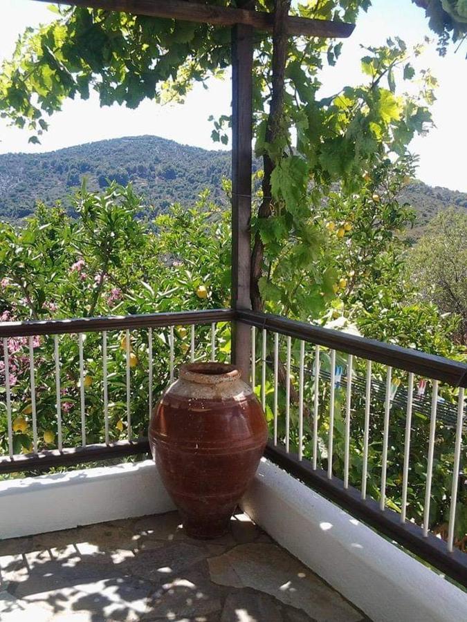 Villa Panayiota Alónnisos Exterior foto