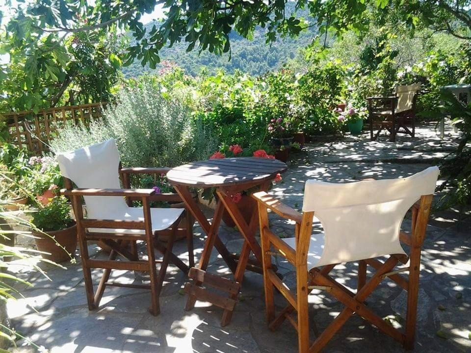 Villa Panayiota Alónnisos Exterior foto