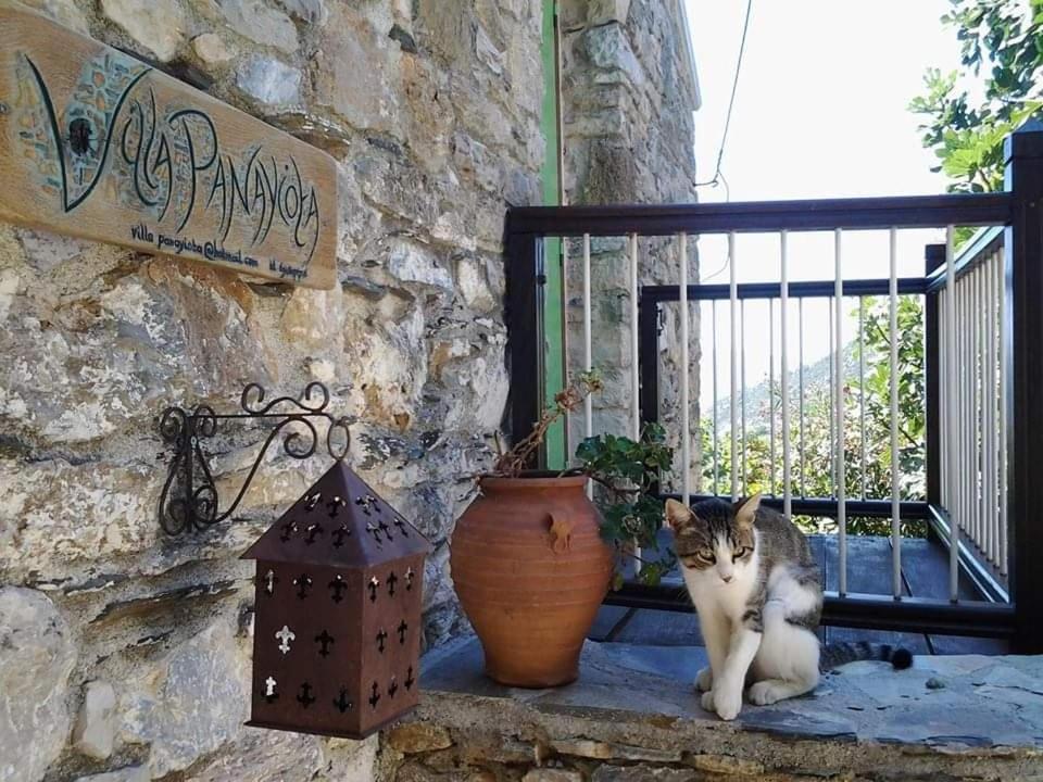 Villa Panayiota Alónnisos Exterior foto