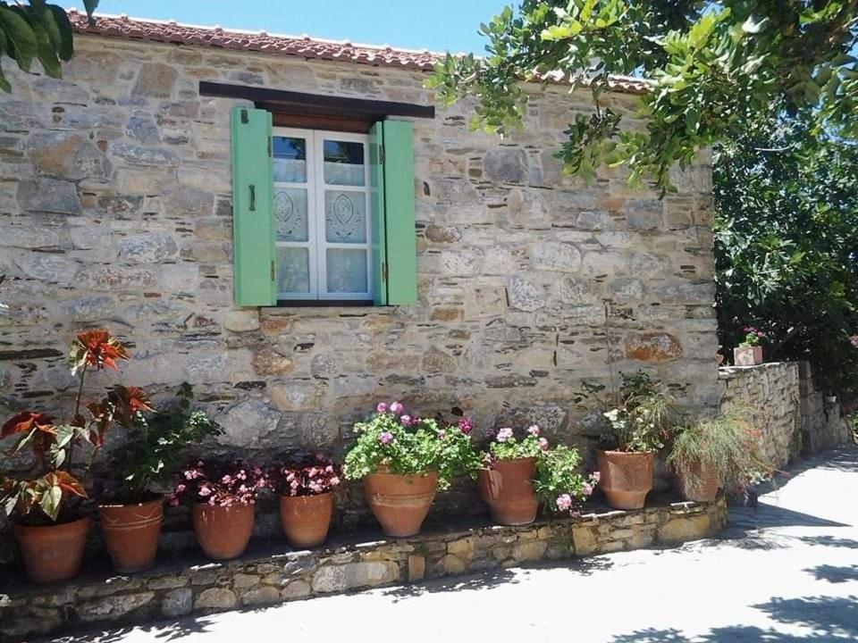 Villa Panayiota Alónnisos Exterior foto